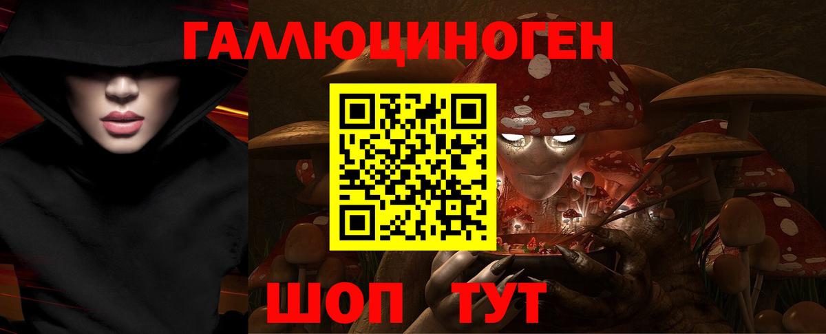 Галлюциногенные грибы Psilocybe Кимры
