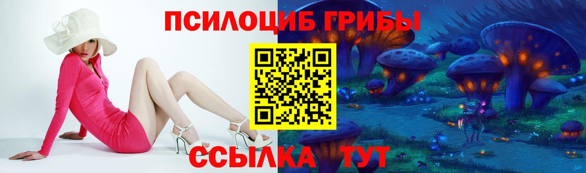 Галлюциногенные грибы GOLDEN TEACHER  как найти закладки  Кимры  Вход с VPN 